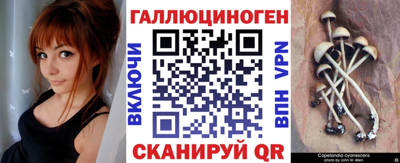 где купить   Фатеж  Галлюциногенные грибы Cubensis 